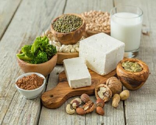Innovative Uses of TG Enzyme in Plant-Based Foods